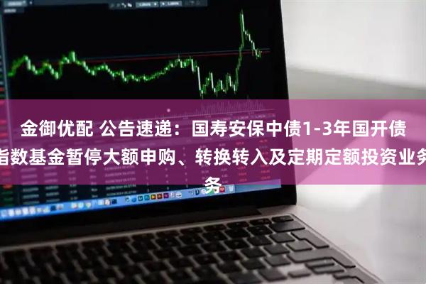 金御优配 公告速递：国寿安保中债1-3年国开债指数基金暂停大额申购、转换转入及定期定额投资业务